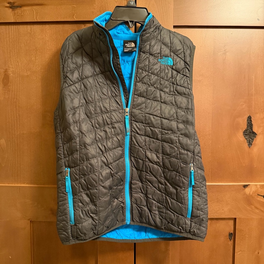The North Face Bright Blue Quilted Jacket